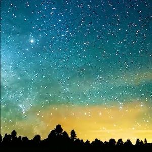 Meet your Posher, Charlie